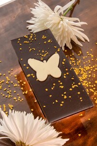 Moonstruck Darling Butterflies Exploration Bar